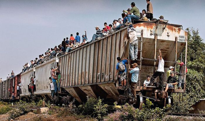 Miles De Migrantes Desaf an Operativos En Los Trenes De M xico