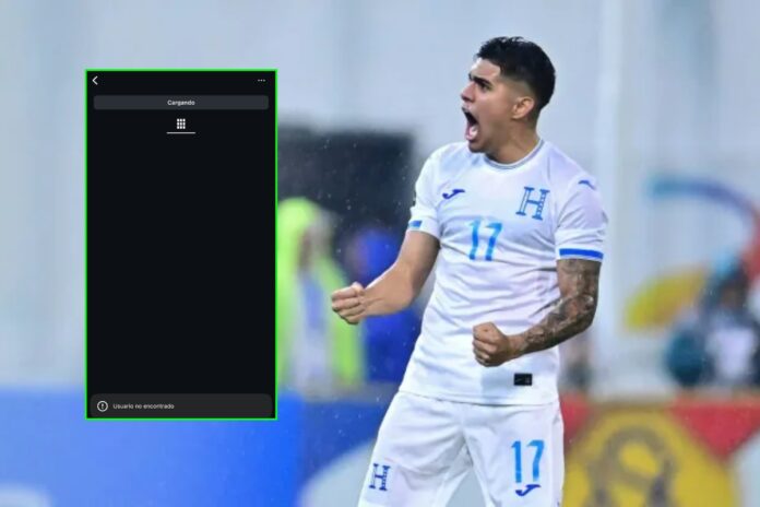 Luis Palma redes
